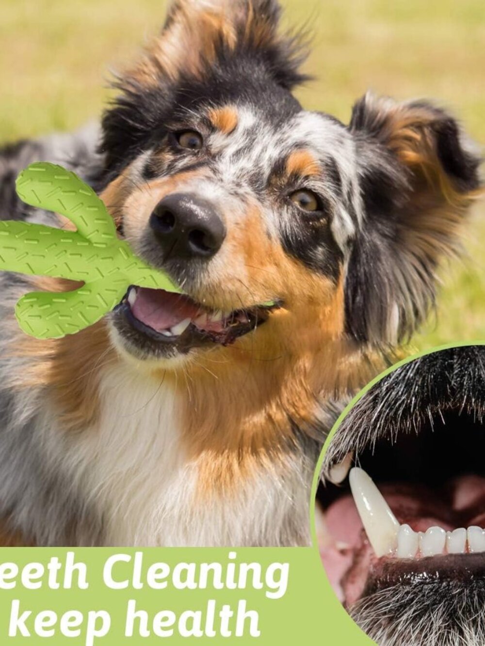 Dog Chew Toys, Durable Rubber Dog Toys for Aggressive Chewers, Tough Toys for Tr - Picture 7 of 7